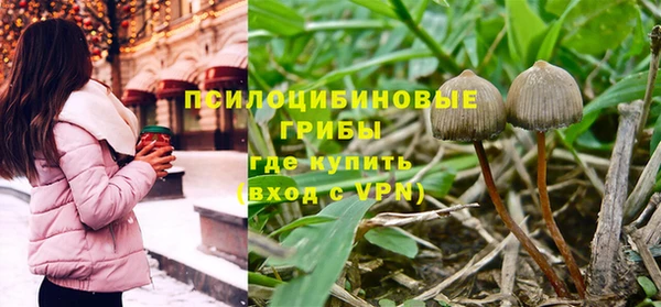 ALPHA PVP Аркадак