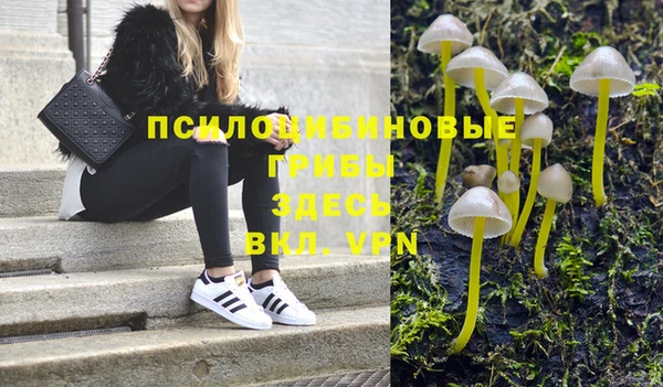 дживик Армянск