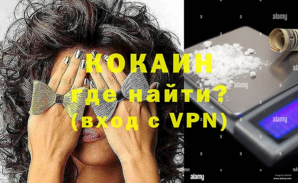 гашик Арсеньев