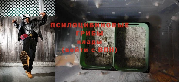 гашик Арсеньев