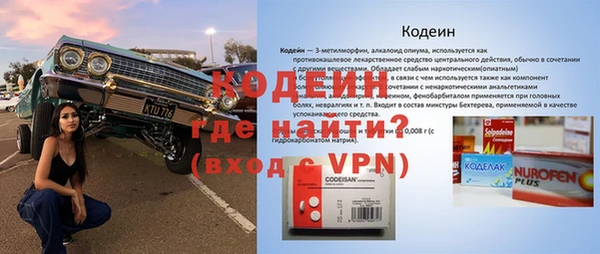 гашик Арсеньев