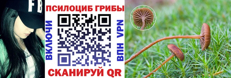 закладка  Себеж  Псилоцибиновые грибы GOLDEN TEACHER 